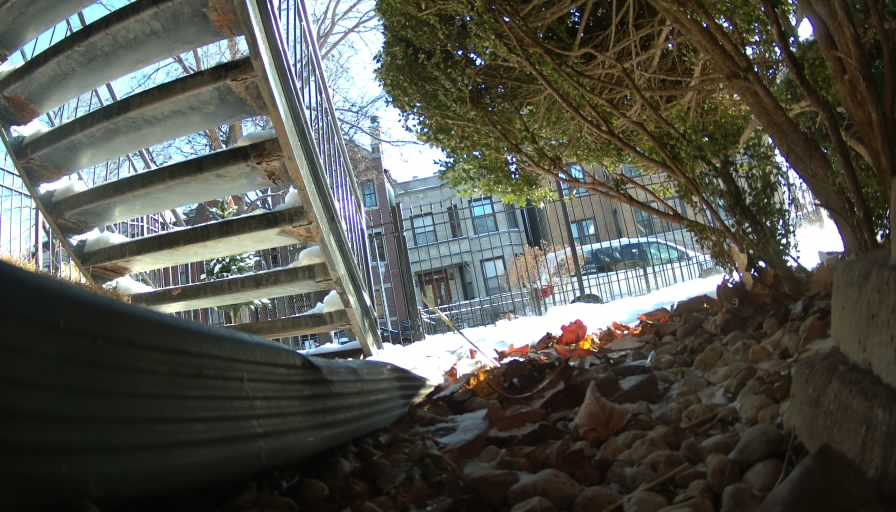 Reolink Camera Two_01_Reolink Home Hub One_20250111090943.jpg